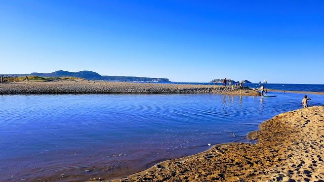 los Aiguamolls del Baix Emporda
